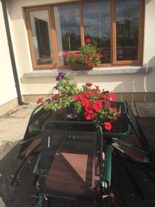 una mesa con flores delante de una ventana en The Crossroads B&B, en New Ross