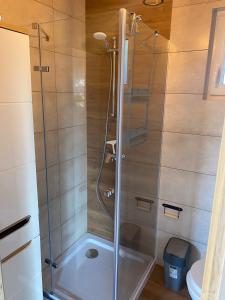 a shower with a glass door in a bathroom at Dolina Wisełka in Wisełka