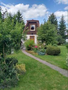 ein kleines Haus mit einem Grashof mit einem Weg in der Unterkunft Finnhütte Tanne in Tanne