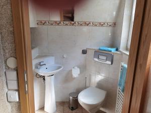 a small bathroom with a toilet and a sink at Finnhütte Tanne in Tanne