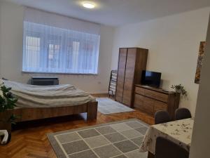 1 dormitorio con 1 cama, vestidor y TV en Downtown Studio Apartman en Pécs