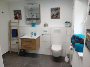 ein Badezimmer mit einem Waschbecken, einem WC und einem Spiegel in der Unterkunft Weinseelig14 in Landau in der Pfalz