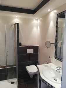 y baño con aseo, lavabo y ducha. en Apartmenthaus Kristall, en Wagrain