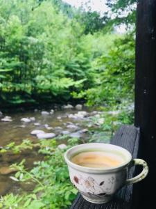 uma xícara de café sentado em uma mesa ao lado de um rio em Cottage by the river Valea Draganului em Poeni