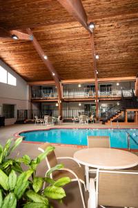 Bazén v ubytování Best Western Plus Plattsburgh nebo v jeho okolí