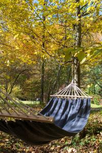 a blue hammock in a park in the fall at Cottage by the river Valea Draganului in Poeni