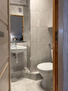 a bathroom with a toilet and a sink at Chata na skale in Karpacz