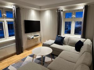 een woonkamer met een bank en een tv bij Stetind - Modern apartment with free parking in Narvik