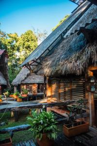 a house with a thatched roof with plants in front at Jamu Lodge in the Cuyabeno Wildlife Reserve in Cuyavenus