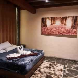 ein Schlafzimmer mit einem Bett mit einem Bild an der Wand in der Unterkunft No 3 Loft Jacuzzi Mazamitla in Mazamitla
