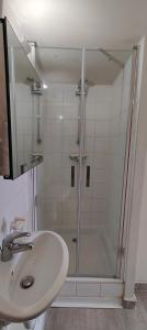 La salle de bains est pourvue d'une douche et d'un lavabo. dans l'établissement Studio-centre-Thabor-calme, à Rennes