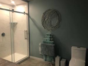a bathroom with a shower and a toilet with a mirror at Condo 101 centre-ville de Rimouski près du fleuve in Rimouski