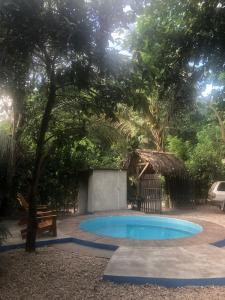 a small swimming pool in a yard with a tree at Los Almendros Palomino Hostel in Palomino