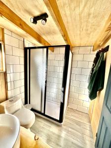 a bathroom with a shower and a toilet and a sink at Molco Cabins Palafito in Pucón +18 photos