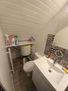 a small bathroom with a toilet and a sink at Cocooning in Samois-sur-Seine