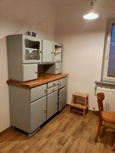 uma cozinha com um micro-ondas em cima de um balcão em Apartament Borówka em Jedlina-Zdrój