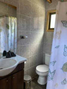 a bathroom with a sink and a toilet and a shower curtain at Cabaña el Arrayan Futaleufú in Futaleufú