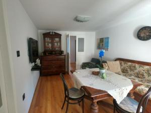 Posezení v ubytování APARTMENT DINKA