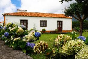 ein kleines weißes Haus mit Blumen davor in der Unterkunft Casa Via d'Agua in Fajã Grande in Faja Grande