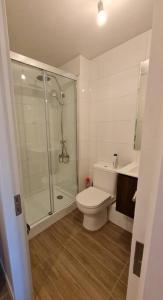 ein weißes Badezimmer mit Dusche und Toilette in der Unterkunft Departamento centro de Valdivia, Los Laureles 270, Isla Teja in Valdivia + 20 Fotos