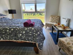ein Schlafzimmer mit einem Bett, einem Tisch und einem Stuhl in der Unterkunft Departamento centro de Valdivia, Los Laureles 270, Isla Teja in Valdivia