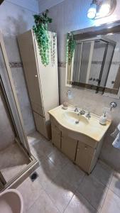 La salle de bains est pourvue d'un lavabo et d'un miroir. dans l'établissement “Chalet Carrasco” totalmente equipado, à Mar del Plata