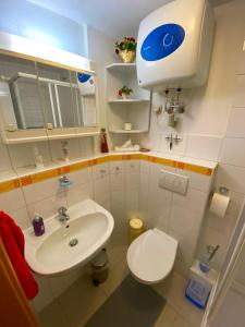 uma pequena casa de banho com lavatório e WC em Ferienhaus Greiz em Greiz