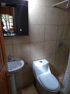 un bagno con un water e un lavandino di Cabaña El Sueño de La Abuela a El Hoyo Altre 30 foto