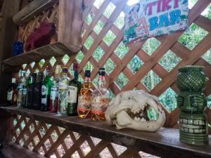 - une table avec des bouteilles d'alcool et un crâne dans l'établissement Wandari Lodge, à Quince Mil