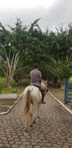 un hombre montando un caballo por un camino de ladrillo en Fazenda Alto Alegre Pousada, en Bonito