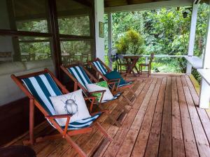 Zahrada ubytování Wandari Lodge