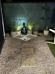 a group of potted plants sitting on a patio at Kay Sandra à 2 mn du CHU in Saint-Joseph