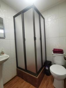 a bathroom with a shower and a toilet and a sink at Cabañas Pidén in Punta Arenas