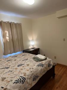 a bedroom with a bed and a table with a lamp at M1 Queen Size BedRoom with desk near Rutgers U & hospitals in New Brunswick