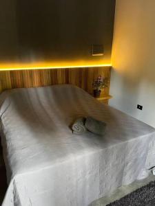 Łóżko lub łóżka w pokoju w obiekcie CHALÉS SÃO ROQUE