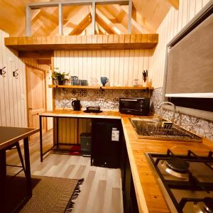 uma cozinha com um fogão e uma bancada em Colico Tiny Lodge - jacuzzi-Terraza em Catrico