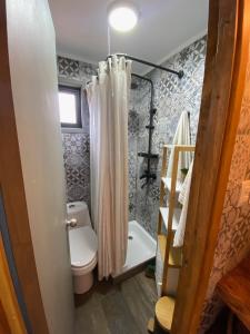 uma pequena casa de banho com WC e chuveiro em Colico Tiny Lodge - jacuzzi-Terraza em Catrico