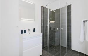 レンブルッフにあるPet Friendly Apartmentのシャワーと洗面台を備えた白いバスルーム