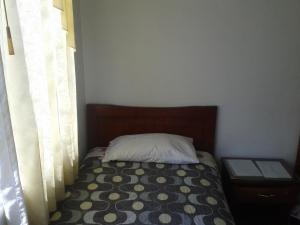 Postel nebo postele na pokoji v ubytování Hotel Ventura