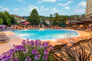 a pool at a hotel with chairs and purple flowers at Harrah's Cherokee, A Caesars Destination in Cherokee
