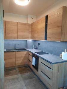 Kuchyň nebo kuchyňský kout v ubytování Apartment - Golden Fox 18 - Pohorske terase