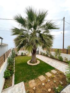 a palm tree in the middle of a yard at Galini Studios Paralia Platanou in Akrata