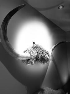 Afbeelding uit fotogalerij van Red Stag Apartment in Nairn +35 foto's