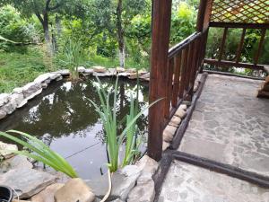um lago de carpas num jardim ao lado de uma cerca em Casa Atelier Transfăgărășan em Corbeni