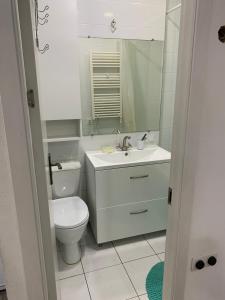 ein Badezimmer mit einem WC, einem Waschbecken und einem Spiegel in der Unterkunft Квартира с отдельным входом с улицы in Chişinău