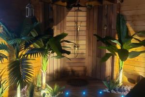 Vonkajšia záhrada v ubytovaní Tropical Spa
