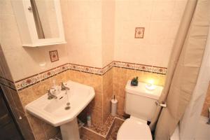 a small bathroom with a toilet and a sink at Jasmine Cottage, Buxton Norfolk, Sleeps 4 in Norwich