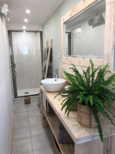 Fotografia z galérie ubytovania Les P'tits Apparts d'Angie - Logement Bohème v destinácii Porto-Vecchio