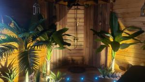 Vonkajšia záhrada v ubytovaní Tropical Spa