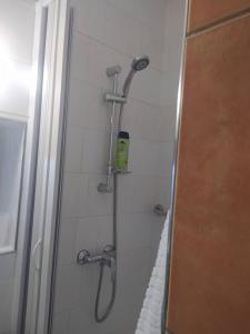 um chuveiro na casa de banho com uma cabeça de chuveiro em Apartmány u Torína em Boží Dar